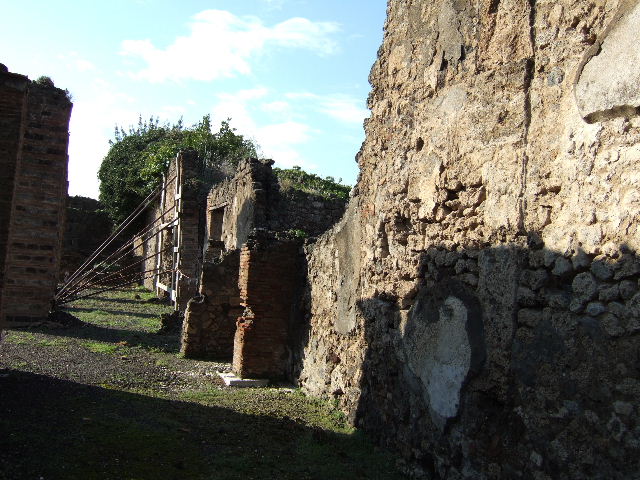 VI.8.20 Pompeii. March 2009. Room 3. South wall.