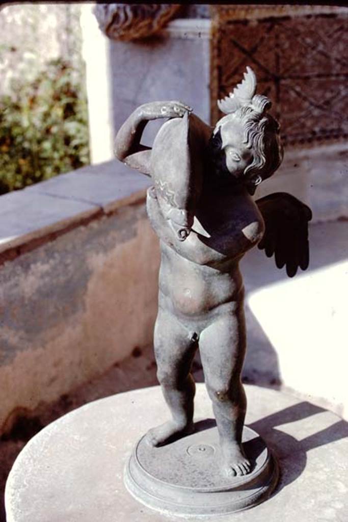 VI.8.22 Pompeii, 1968. Bronze statuette of a cupid holding a dolphin (0.56m high) shown in the photo on display in the fountain at VI.8.22. Now in Naples Archaeological Museum, inventory number 111701: Ruesch no 818. Photo by Stanley A. Jashemski.
Source: The Wilhelmina and Stanley A. Jashemski archive in the University of Maryland Library, Special Collections (See collection page) and made available under the Creative Commons Attribution-Non Commercial License v.4. See Licence and use details.
J68f1244
According to Wilhelmina, this bronze statuette is a replica of one found in the garden of IX.7.20, and displayed here. It was one of the finest found in the Vesuvian area. 
See Jashemski, W. F., 1993. The Gardens of Pompeii, Volume II: Appendices. New York: Caratzas. (p.135 and p.240)
