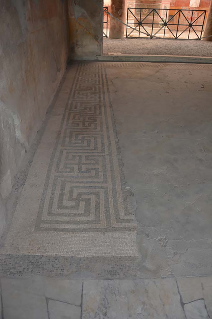 VI.8.23 Pompeii. September 2019. Tablinum floor, looking west along south side. 
Foto Annette Haug, ERC Grant 681269 DÉCOR.
