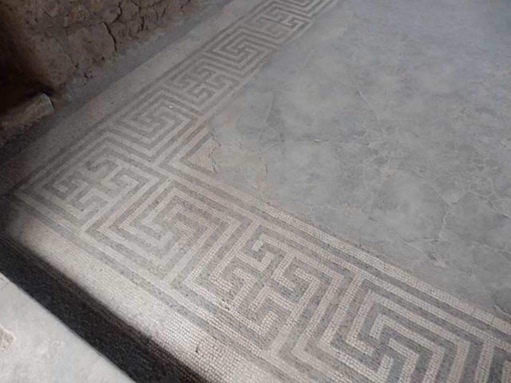 VI.8.23 Pompeii. May 2017. Mosaic floor in north-west corner of tablinum. Photo courtesy of Buzz Ferebee.
