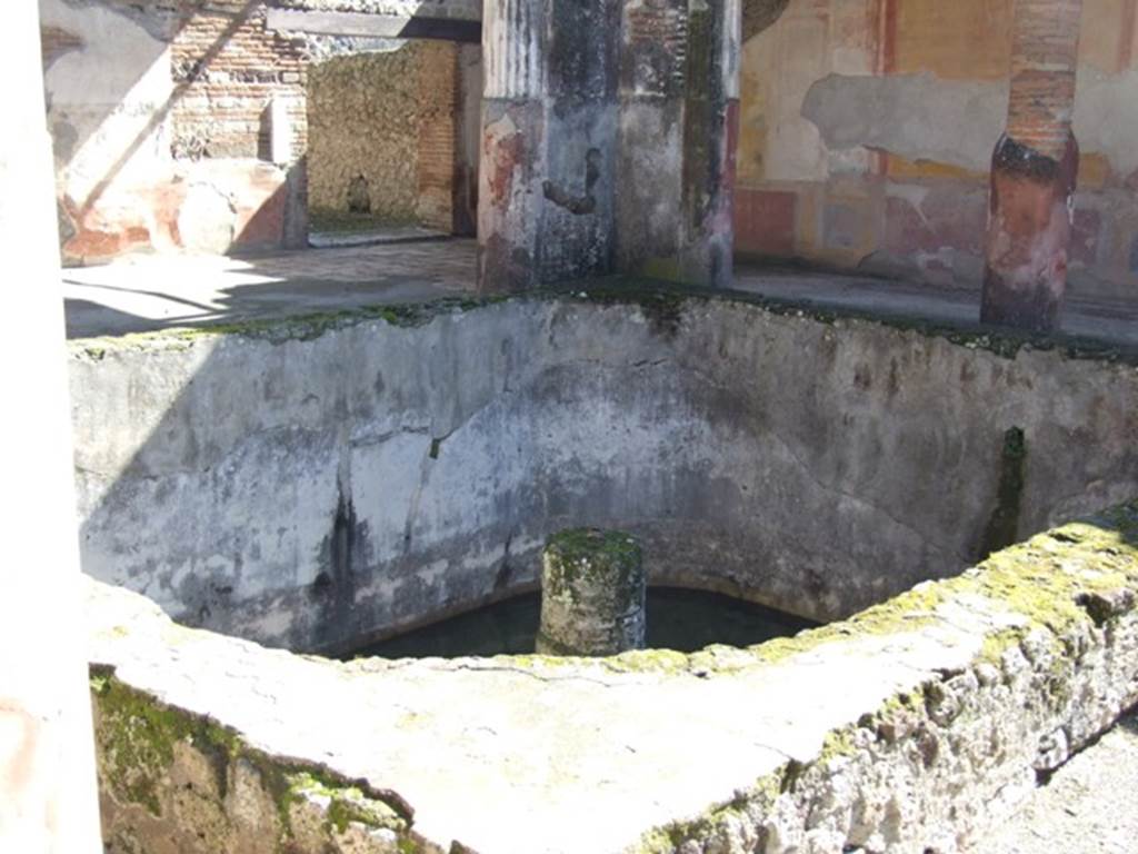 VI.9.6 Pompeii. March 2009. Room 6, deep pool in peristyle. 