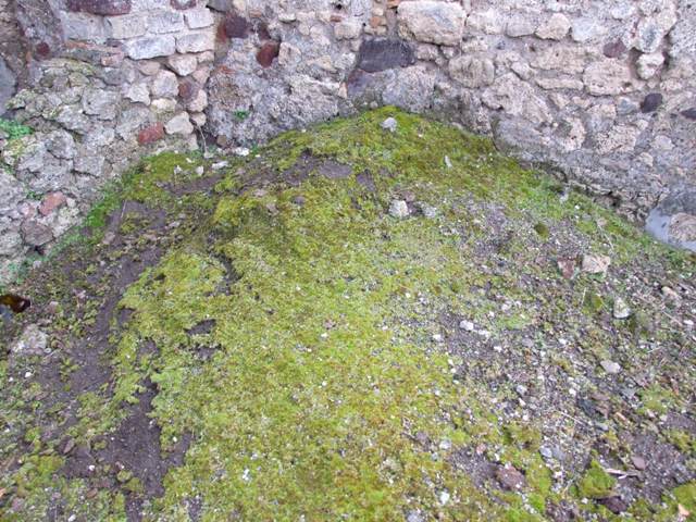 VI.10.4 Pompeii.  March 2009.  Patterned floor on south side of atrium.