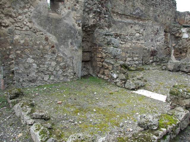VI.10.7 Pompeii.  March 2009.  Room 15.  Garden area.  North side.  Arched door at west end leading to rear of house.