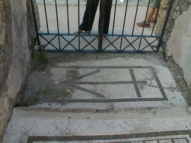 VI.10.7 Pompeii. March 2009. Room 1, south wall of atrium.  