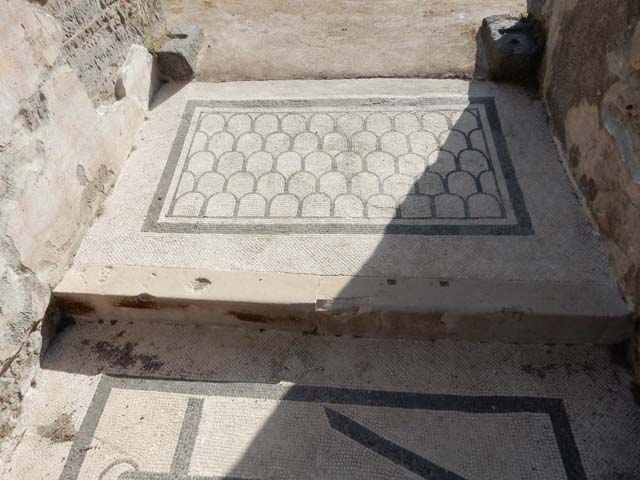 VI.10.7 Pompeii.  March 2009.  Room 2.  West wall.