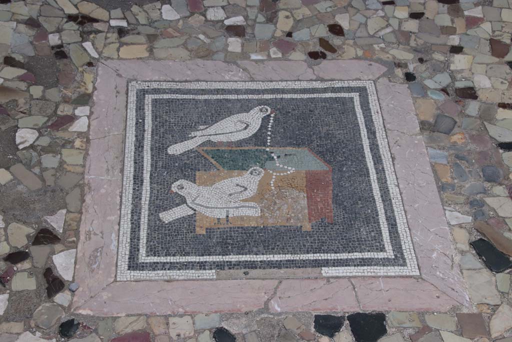 VI.12.2 Pompeii. September 2021. Central emblema in floor of ala 29 on west side of atrium. 
Detail of mosaic picture of doves pulling a necklace from a jewellery box. Photo courtesy of Klaus Heese.
