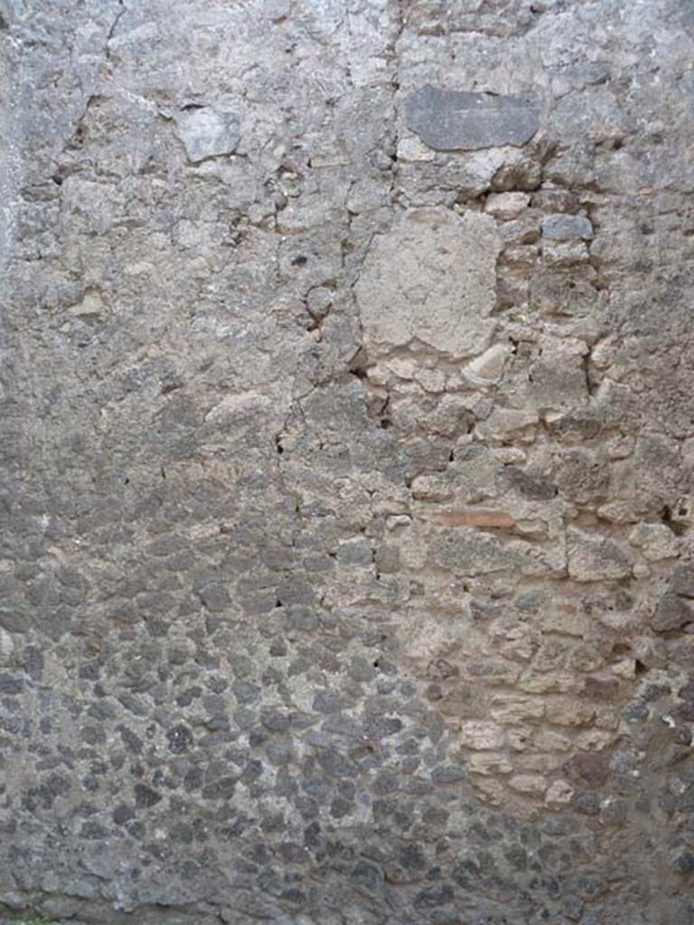 VI.12.2 Pompeii. September 2015. South wall of cubiculum in south-east corner of atrium.