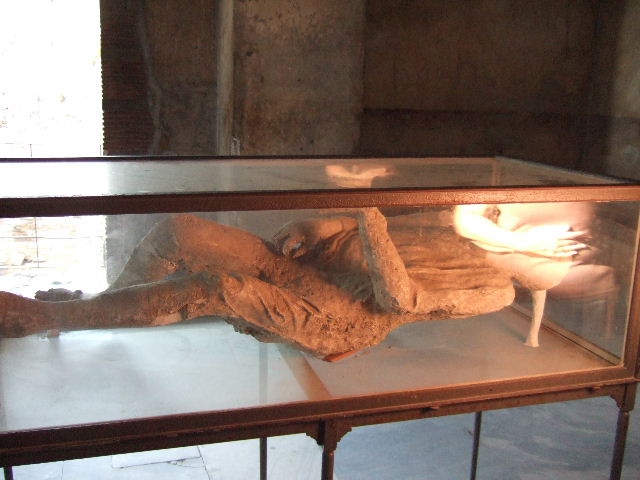 VI.14.31 Pompeii. Showing area, from model in Naples Archaeological Museum.
