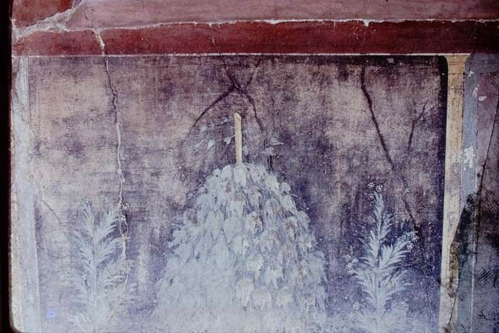 VI.15.1 Pompeii, 1973. Painted wall decoration from zoccolo of peristyle. Photo by Stanley A. Jashemski.
Source: The Wilhelmina and Stanley A. Jashemski archive in the University of Maryland Library, Special Collections (See collection page) and made available under the Creative Commons Attribution-Non-Commercial License v.4. See Licence and use details.
J73f0243
