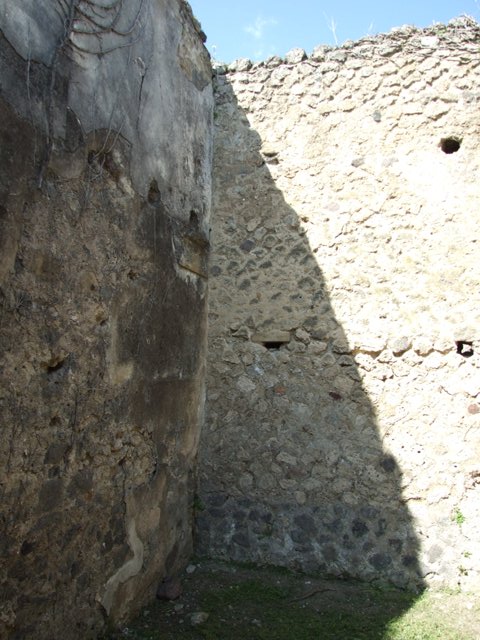 VI.15.5 Pompeii. March 2009. Room 7, north wall of tablinum, looking west.