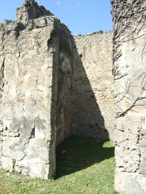VI.15.5 Pompeii. March 2009. Room 7, coloured mosaic floor, detail starting from the south (left) side.
