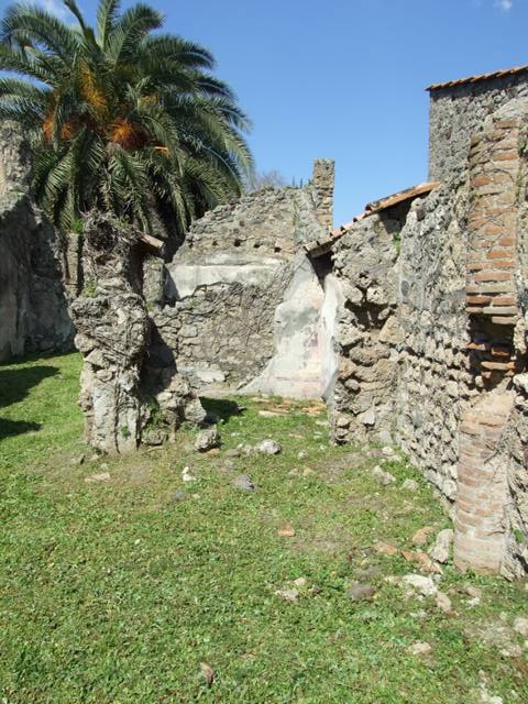 VI.15.5 Pompeii.  March 2009.  Room 24.  Oecus.  North wall.