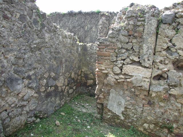 VI.15.6 Pompeii. March 2009. Room 9. West wall.