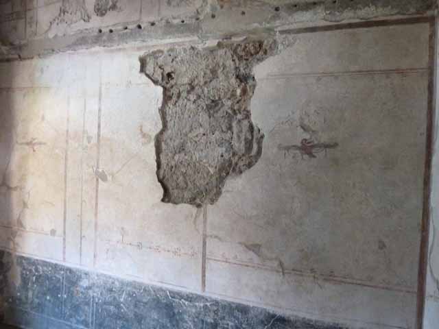 VI.15.8 Pompeii. December 2007. Detail of sea creatures in tablinum.