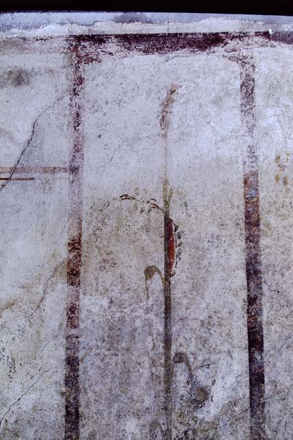 VI.15.8 Pompeii. May 2010.  Detail of painted plant on north wall of tablinum.