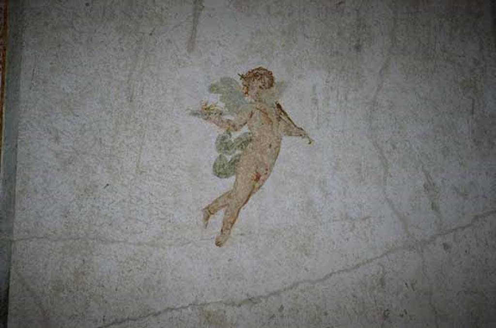 VI.15.8 Pompeii. May 2010. Painted detail from oecus. Photo courtesy of Rick Bauer.