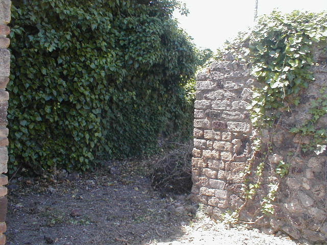 VI.15.13.  September 2005.