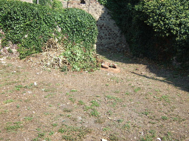 VI.15.13.  September 2005.