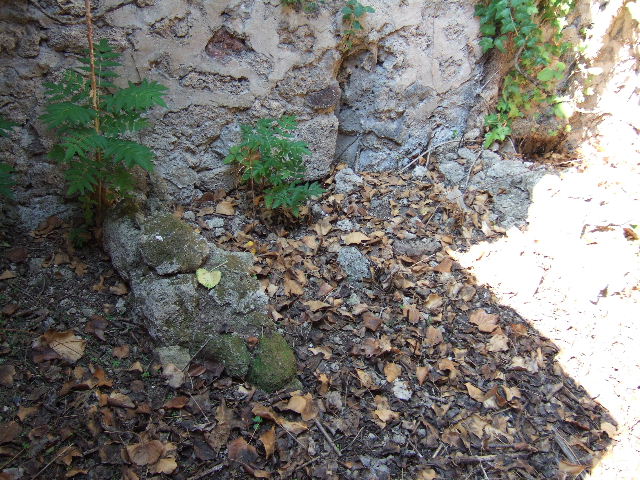 VI.15.20 Casa di STLABORIUS AUCTUS. 