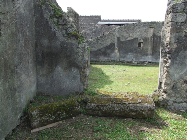 VI.16.27 Pompeii.  March 2009.  Room 8, Oecus.  South wall.