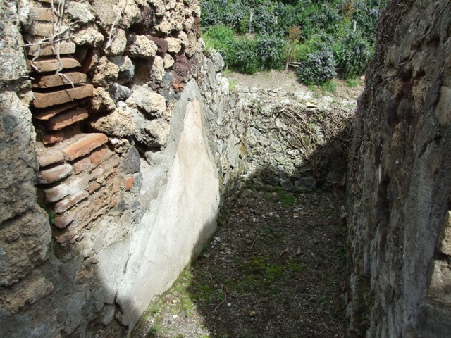VI.16.27 Pompeii.  March 2009.  Room 9, Storeroom.  South wall.