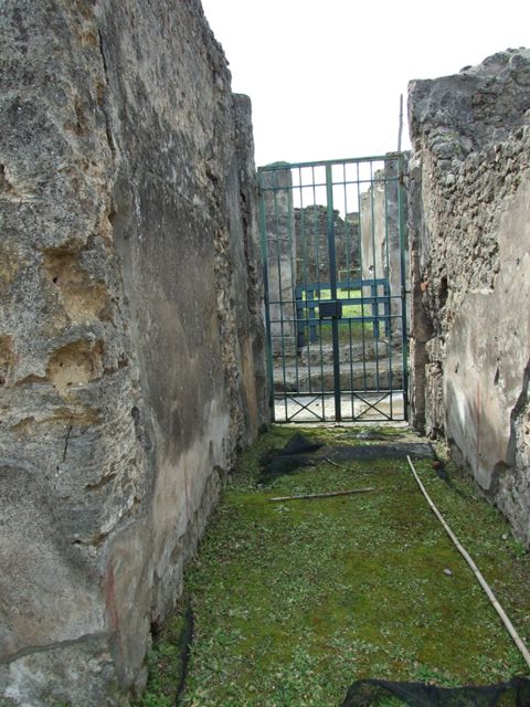 VI.16.27 Pompeii. March 2009. Room 16, south wall of south-east corner of atrium. 