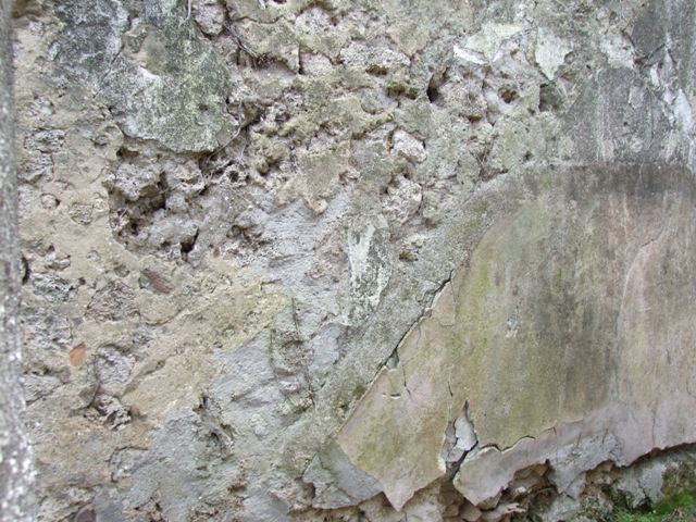 VI.16.29 Pompeii. March 2009. Room 13, site of impluvium or well in atrium of VI.16.30.  