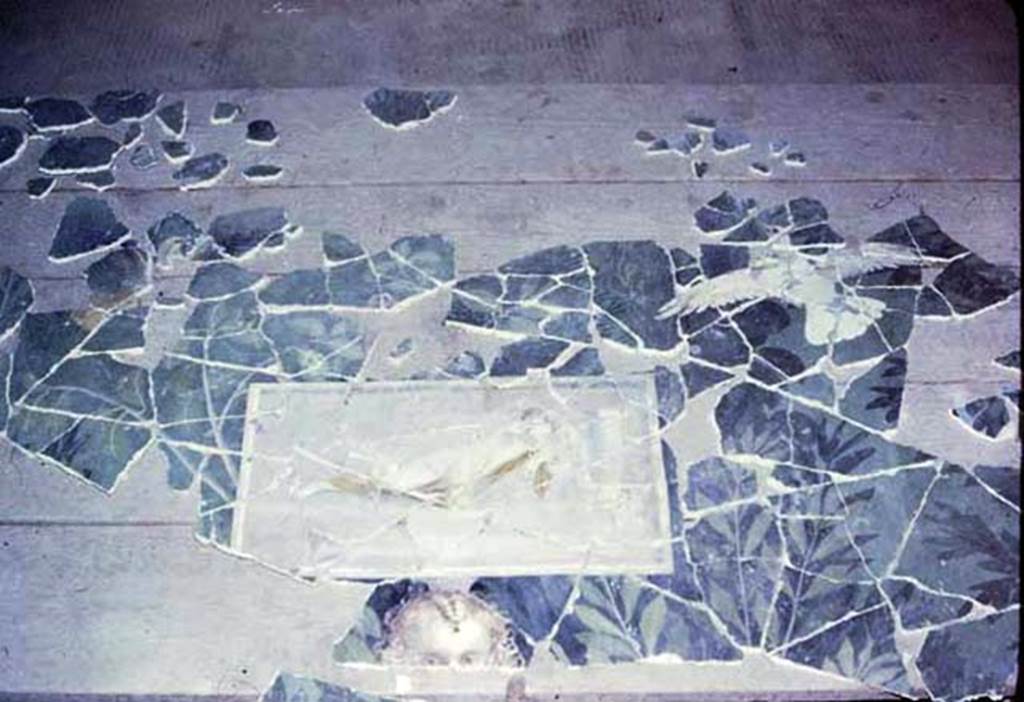 VI.17.42 Pompeii. 1980. Oecus 32. Part of garden fresco from south wall, during its reconstruction. 
Photo by Stanley A. Jashemski.   
Source: The Wilhelmina and Stanley A. Jashemski archive in the University of Maryland Library, Special Collections (See collection page) and made available under the Creative Commons Attribution-Non Commercial License v.4. See Licence and use details.
J80f0203
