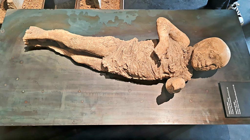 VI.17.42 Pompeii. March 2024. Cast of male child (modern copy in resin). (Calco di bambino – copia moderna in resina).
On display in exhibition “L’altra Pompei, vite comuni all’ombra del Vesuvio”. Photo courtesy of Giuseppe Ciaramella.

