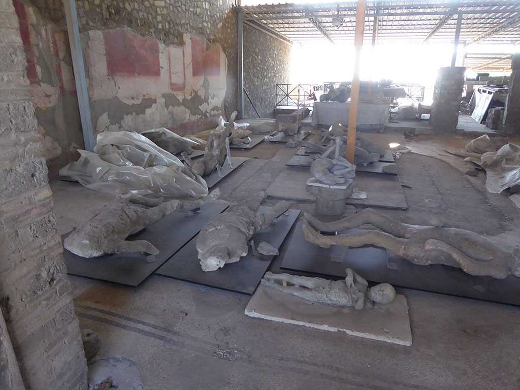 VI.17.42 Pompeii. May 2017. Looking south-west from entrance doorway across atrium. Photo courtesy of Michael Binns.