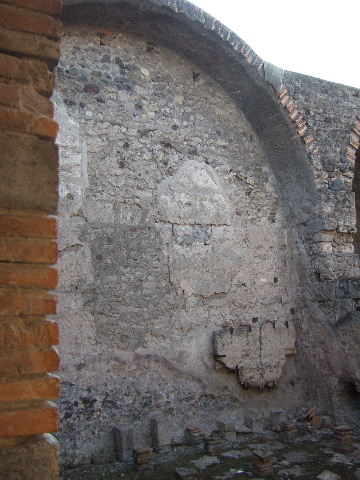 VII.1.8 Pompeii. December 2006. Plaster on west wall of tepidarium.