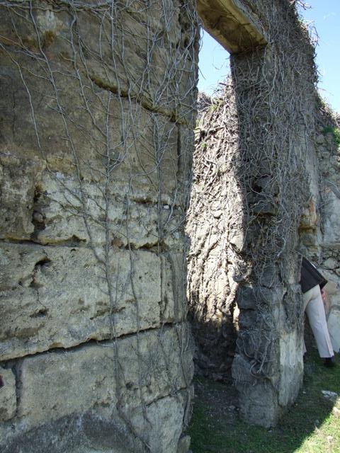VII.2.20 Pompeii. March 2009. Room 20, north wall of kitchen and latrine.
