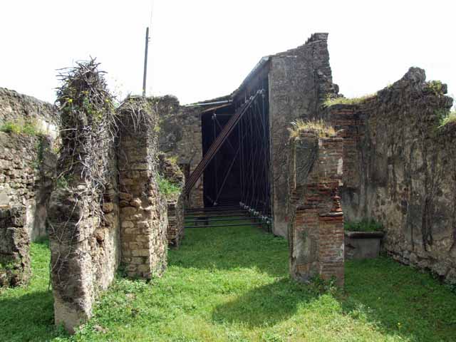 VII.2.25 Pompeii. March 2009. Viridarium, looking east along the south wall. According to Jashemski, this was decorated with garden paintings and a large animal painting. See Jashemski, W. F., 1993. The Gardens of Pompeii, Volume II: Appendices. New York: Caratzas. (p.174 and p.359 for full description and Fig.425)
