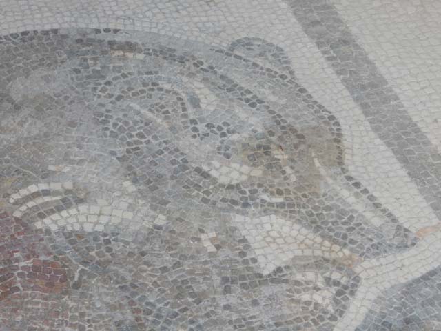 VII.2.45 Pompeii.  September 2005.  Room on west side of atrium.
