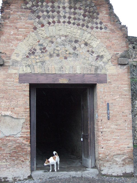 VII.5.24 Pompeii. December 2007. Corner of entrance corridor, turning south.