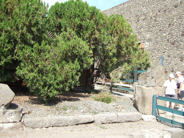 VII.6.24 Pompeii. May 2005. Looking towards entrance. A marble slab with a Sepulchral inscription was found on 15th July 1872 in this area. It was splintered into small parts, but read –
Traebia Fortunata
vixit annis XXIX    [CIL X 1078]
This was numbered 54 on display in the Pompeii Antiquarium, prior to its own bombing in 1943. It was also in Fiorelli’s guide of 1877. (Guida di Pompei, p.90-91)
