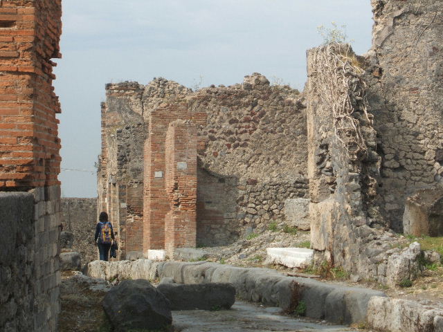 VII.6.28 Pompeii. September 2005. 
Looking north across remains of atrium, andron and tablinum to the area of the south side of the peristyle. The bombing on 13th September 1943 destroyed two cubicula, one in the south-west and the other in the south-east of the atrium. It also destroyed the west and east portico of the peristyle, a cubiculum on the east of the peristyle, and the perimeter wall to the north. All the painted decoration was lost, the Second style in the tablinum, the Third Style in the cubiculum on the east side of the peristyle, and the beautiful garden painting on the north and east sides of the peristyle.
See Garcia y Garcia, L., 2006. Danni di guerra a Pompei. Rome: L’Erma di Bretschneider. (p.106-7)


