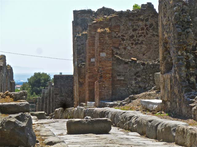 VII.6.29 Pompeii. September 2005. According to Fiorelli and Eschebach, on the left at the rear would have been a staircase to the upper floor. At the rear there was an arched gateway to the latrine, with a nearby downpipe from the upper floor. See Pappalardo, U., 2001. La Descrizione di Pompei per Giuseppe Fiorelli (1875). Napoli: Massa Editore. (p.160). See Eschebach, L., 1993. Gebäudeverzeichnis und Stadtplan der antiken Stadt Pompeji. Köln: Böhlau. (p.296)

According to Garcia y Garcia, a plaster-cast of the door of this shop, made in 1859, had been put on display in the antiquarium. Fortunately drawings were made of it, as it was destroyed in the bombing in 1943. See Garcia y Garcia, L., 2006. Danni di guerra a Pompei. Rome: L’Erma di Bretschneider. (p.107)

According to Varone, found inscribed in the shop, written by an unknown to an unknown love, was –

Venus es.  Ve(nus?)    [CIL IV 1625]

Simply translated as – You are Venus, Venus. 
See Varone, A., 2002. Erotica Pompeiana: Love Inscriptions on the Walls of Pompeii, Rome: L’erma di Bretschneider. (p. 30)

