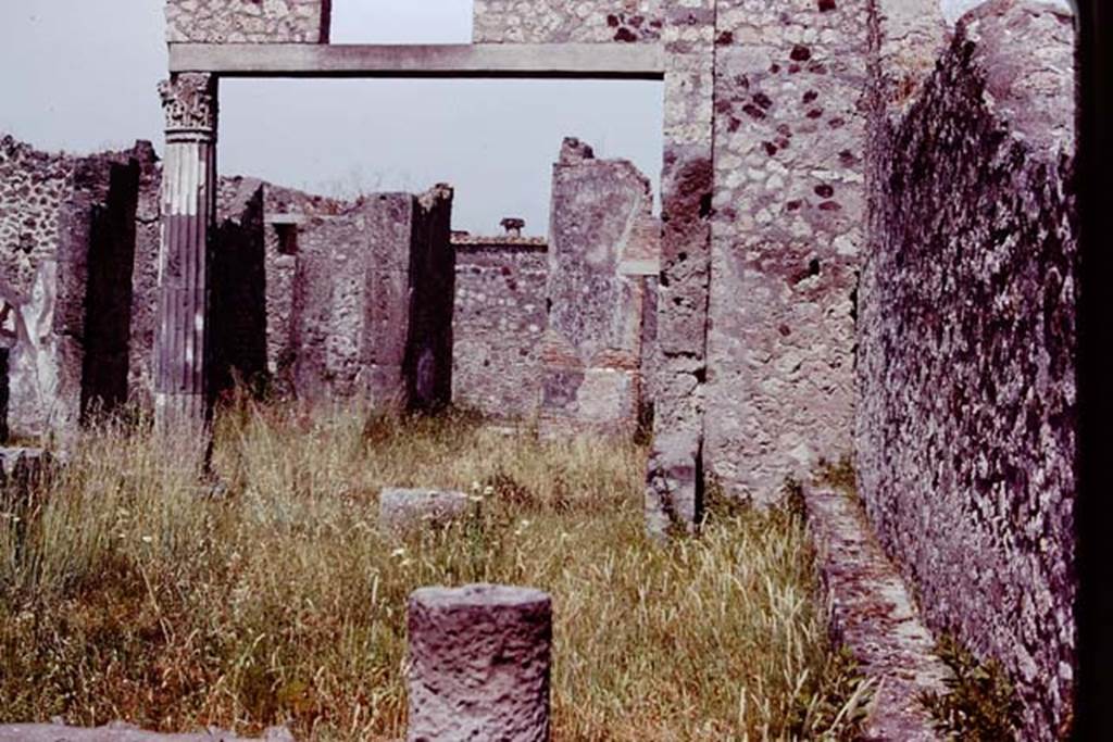 VII.7.17/23 Pompeii, 1978. Looking east across garden area, towards atrium and entrance doorway. Photo by Stanley A. Jashemski.   
Source: The Wilhelmina and Stanley A. Jashemski archive in the University of Maryland Library, Special Collections (See collection page) and made available under the Creative Commons Attribution-Non Commercial License v.4. See Licence and use details. J78f0236
