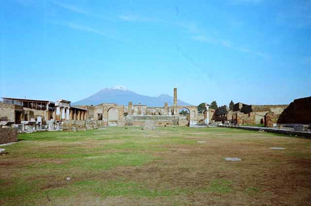 VII.8 Pompeii Forum. February 2010. Looking north. Photo courtesy of Rick Bauer.