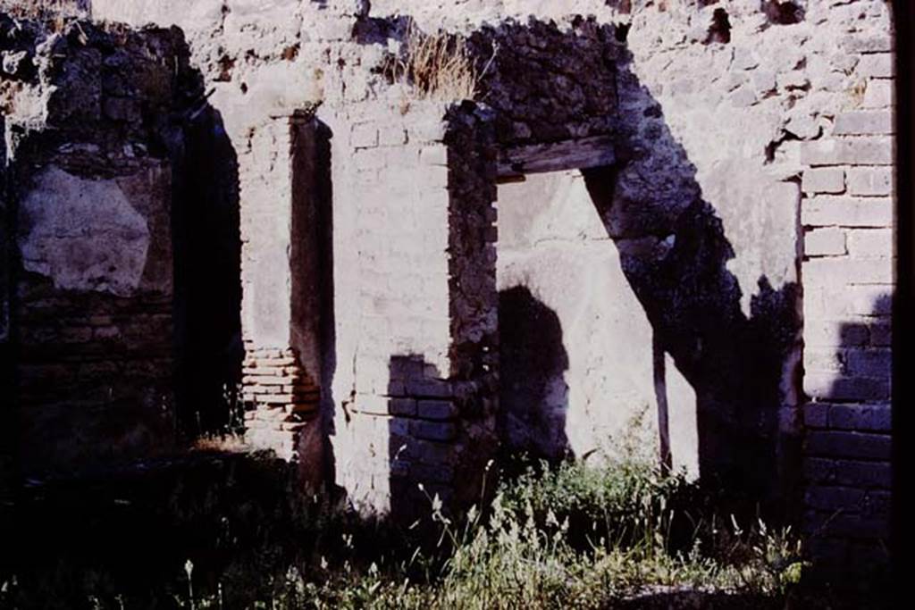 VII.11.14 Pompeii, 1978. North-east corner of garden area A, with step (under weeds on right) to entrance passageway, room 1. Photo by Stanley A. Jashemski.   
Source: The Wilhelmina and Stanley A. Jashemski archive in the University of Maryland Library, Special Collections (See collection page) and made available under the Creative Commons Attribution-Non Commercial License v.4. See Licence and use details. J78f0106
