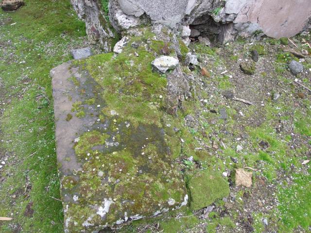 VII.11.14 Pompeii. March 2009. Garden “B”. South wall of small room.