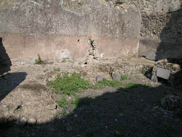 II.12.23 Pompeii. July 2009. Marble steps to garden area on west side of triclinium. According to Jashemski, large windows in three rooms had views into the garden, which was to the left, and three steps higher than the atrium. There were four niches in the north wall of the garden. A rectangular niche and the arched niche on each side were about a metre above the ground. A smaller arched niche was high above the central niche. A small round window high in the wall furnished light to the adjacent house. The statues in these niches, which were painted blue inside, would have produced rather a theatrical effect. A blue niche can be seen in the garden area through the triclinium window. Jashemski lists the statues and items found. See Jashemski, W. F., 1993. The Gardens of Pompeii, Volume II: Appendices. New York: Caratzas. (p.193).
