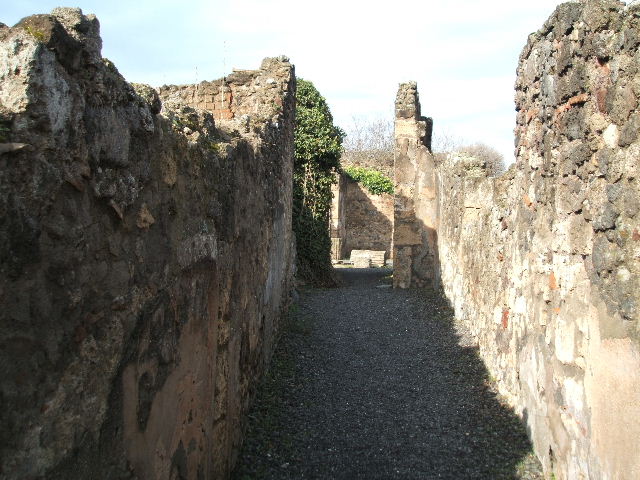 VII.13.8 Pompeii. December 2004. Looking north from fauces across atrium.