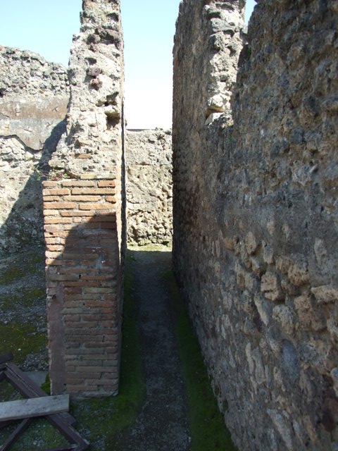 VII.14.9 Pompeii. March 2009. Room 17. Oecus. Looking east.