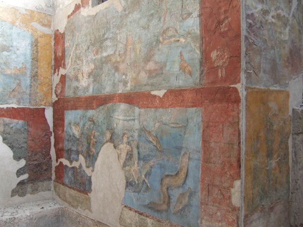 VII.16.a Pompeii. September 2005. Room 9, north wall. Marine scene.