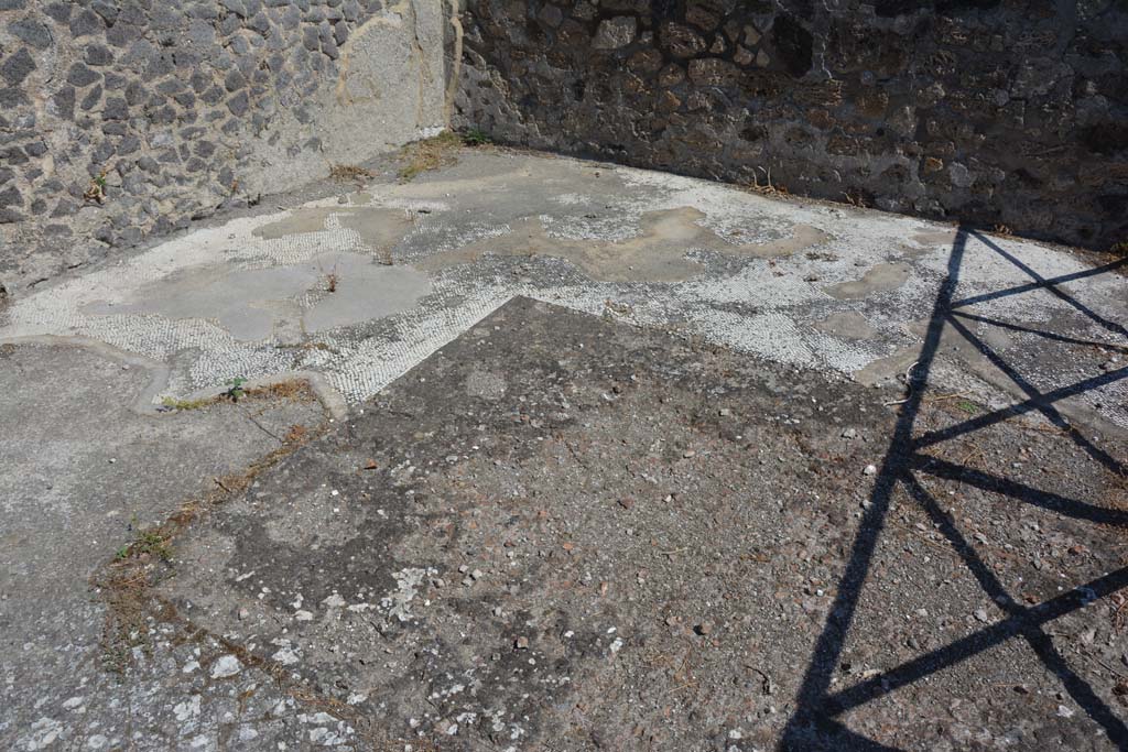 VIII.2.34 Pompeii. September 2019. 
Room ‘n’, decorated white mosaic floor in oecus/triclinium, looking north-east across site of emblema.
Foto Annette Haug, ERC Grant 681269 DÉCOR.

