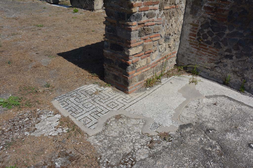 VIII.2.34 Pompeii. September 2019. Remaining flooring in north-east corner of tablinum.
Foto Annette Haug, ERC Grant 681269 DÉCOR.

