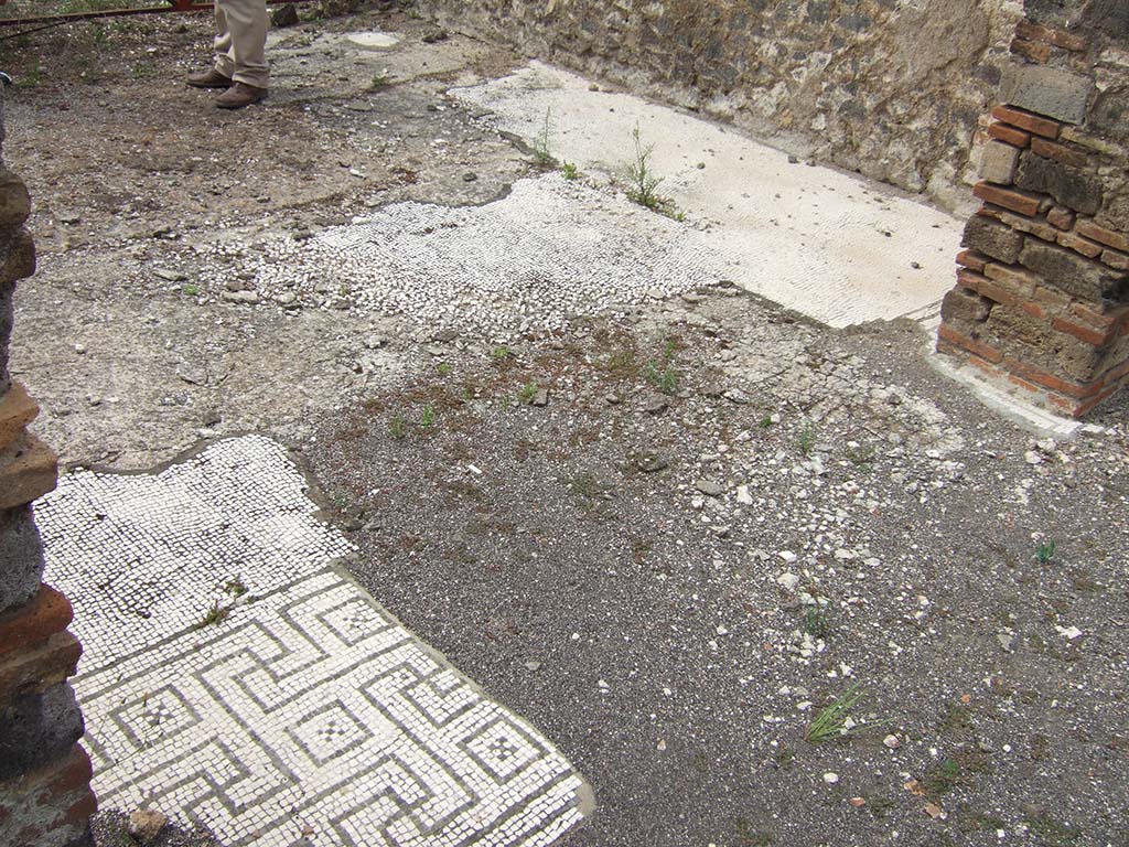 VIII.2.34 Pompeii. May 2006. Room “m”, decorated floor in tablinum, looking south-west.
