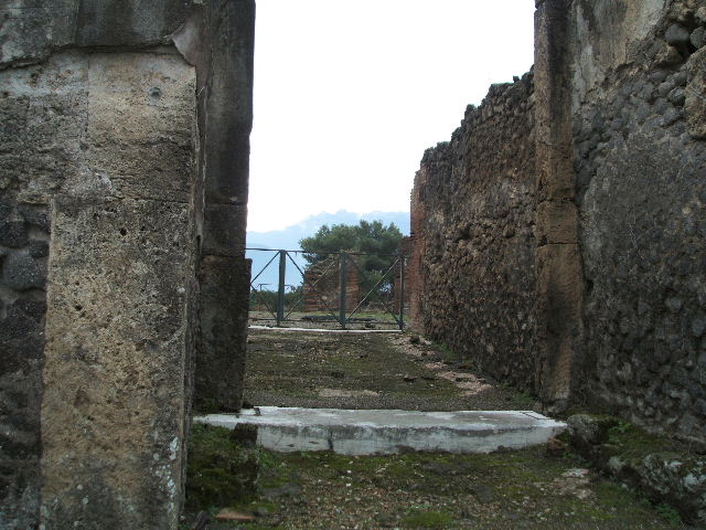 VIII.2.34 House of the Mosaic Doves, or Casa delle Colombe a mosaico